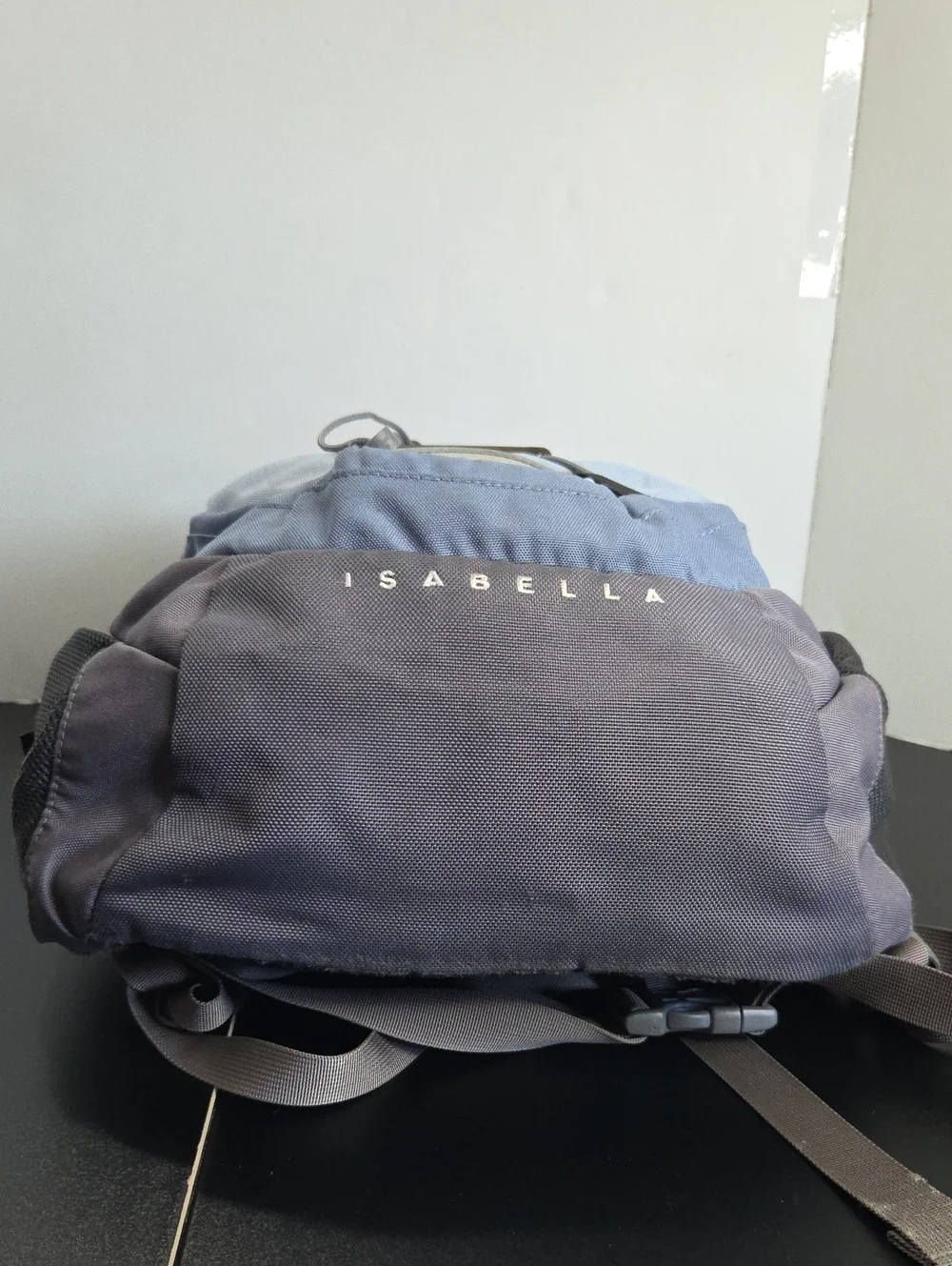 The North Face Isabella Light Blue and Gray Backpack